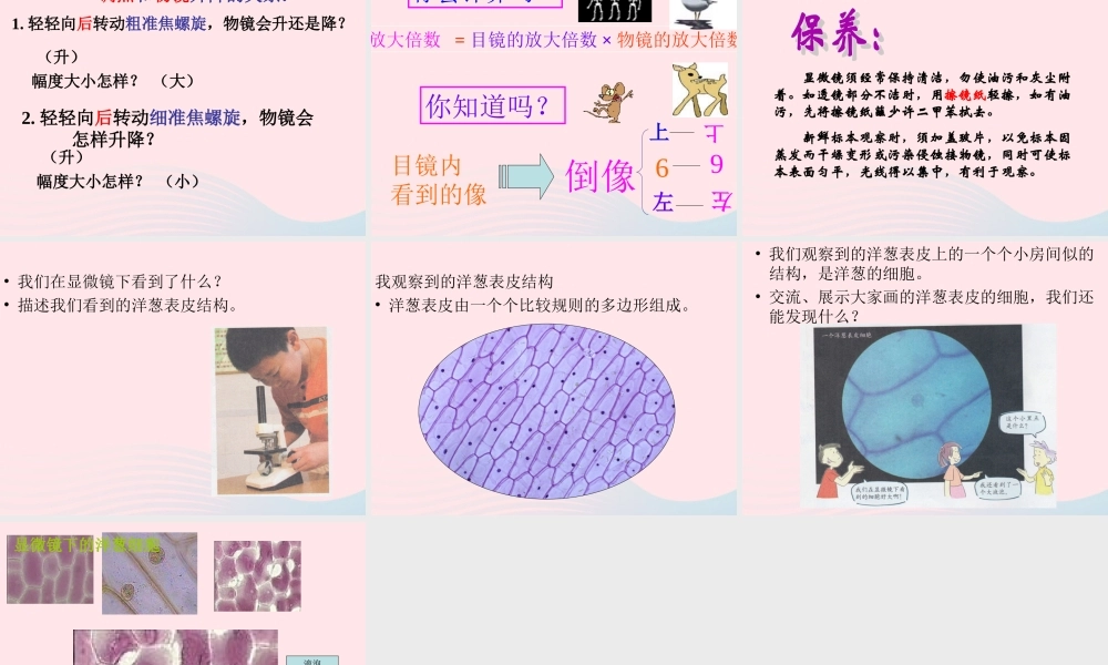 六年级科学下册 第一单元 微小世界 5 用显微镜观察身边的生命世界(一)课件8 教科版-教科版小学六年级下册自然科学课件