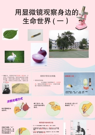 六年级科学下册 第一单元 微小世界 5 用显微镜观察身边的生命世界(一)课件8 教科版-教科版小学六年级下册自然科学课件