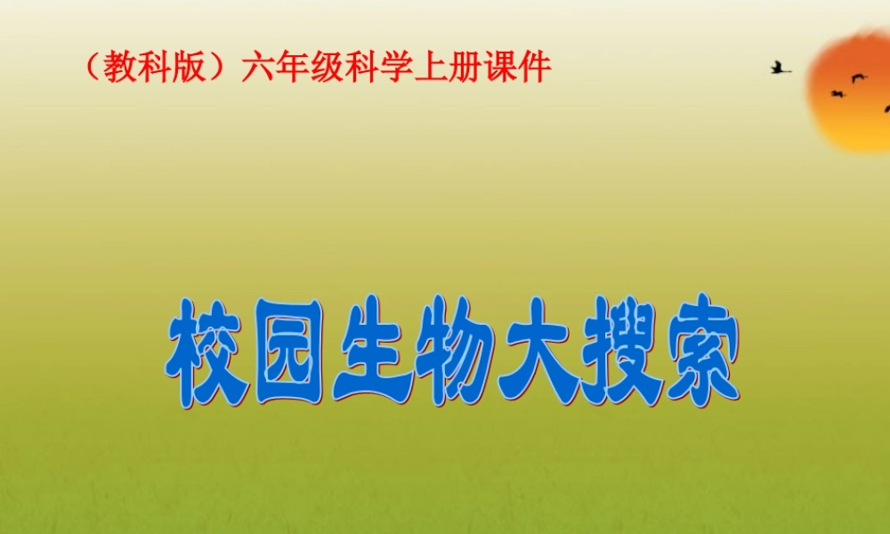 六年级科学上册 校园生物大搜索 1课件 教科版