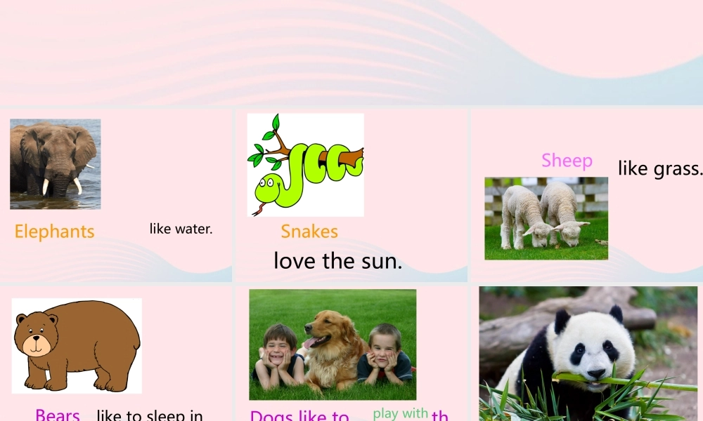 六年级英语上册 Module 7 Unit 2 pandas love bamboo 课件 外研版（三起）-外研版小学六年级上册英语课件