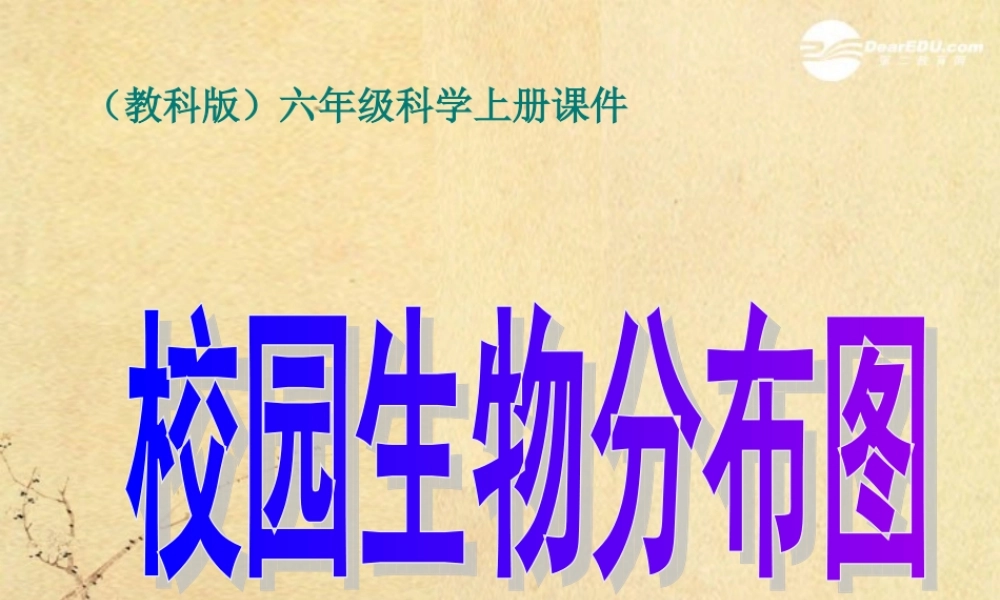 六年级科学上册 校园生物分布图 1课件 教科版
