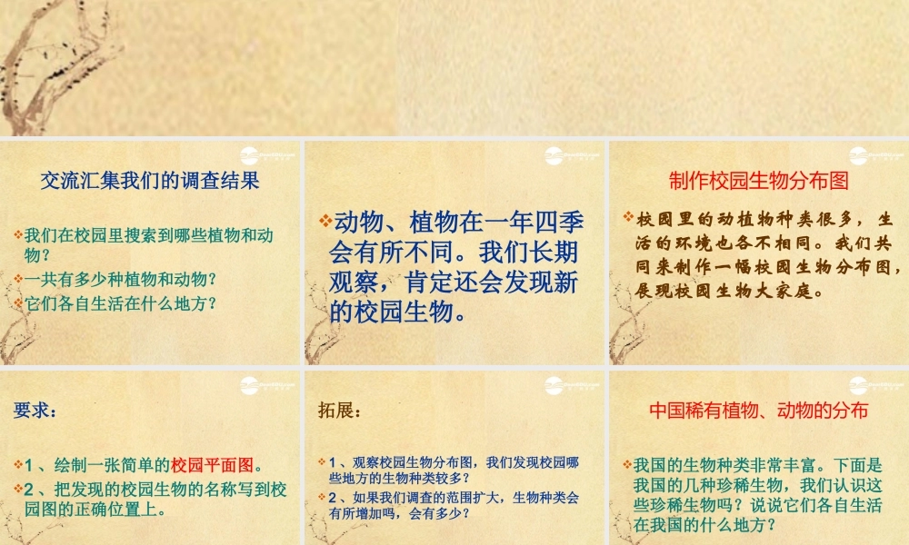 六年级科学上册 校园生物分布图 1课件 教科版