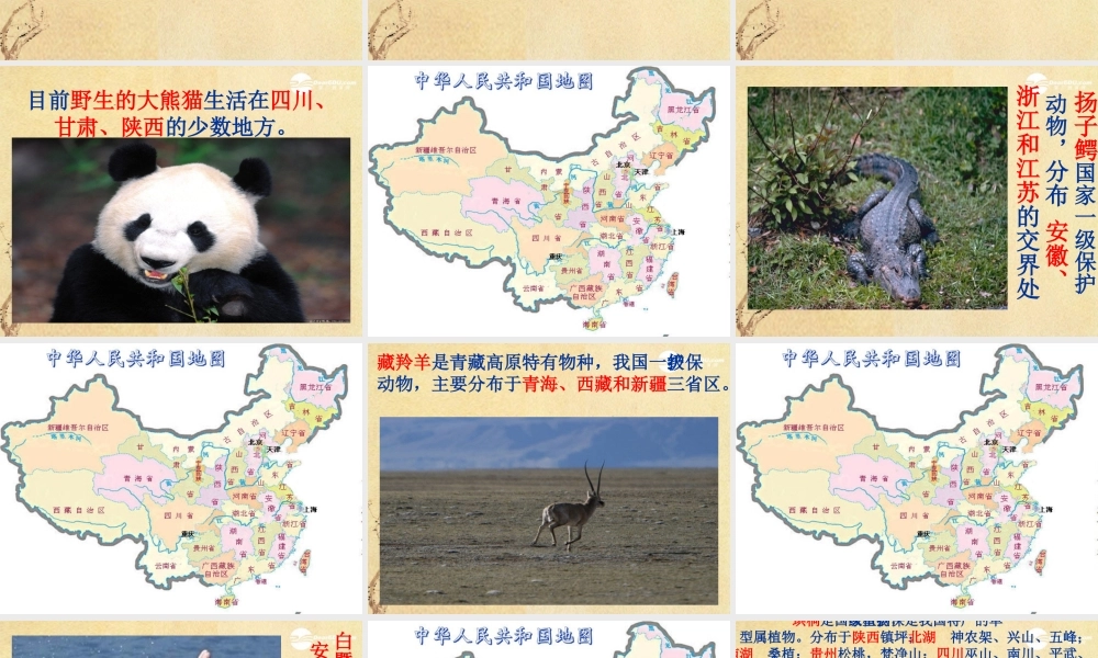 六年级科学上册 校园生物分布图 1课件 教科版