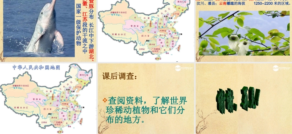 六年级科学上册 校园生物分布图 1课件 教科版