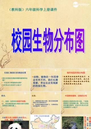 六年级科学上册 校园生物分布图 1课件 教科版