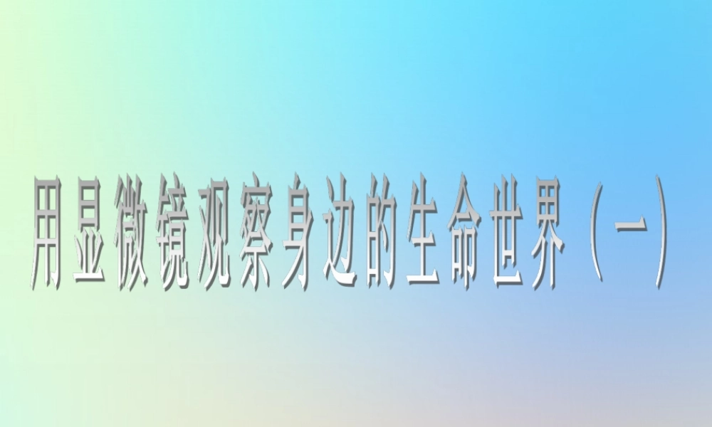 六年级科学下册 第一单元 微小世界 5用显微镜观察身边的生命世界课件 教科版-教科版小学六年级下册自然科学课件