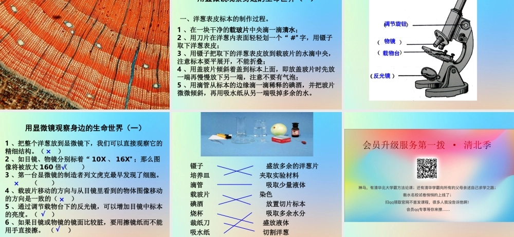 六年级科学下册 第一单元 微小世界 5用显微镜观察身边的生命世界课件 教科版-教科版小学六年级下册自然科学课件