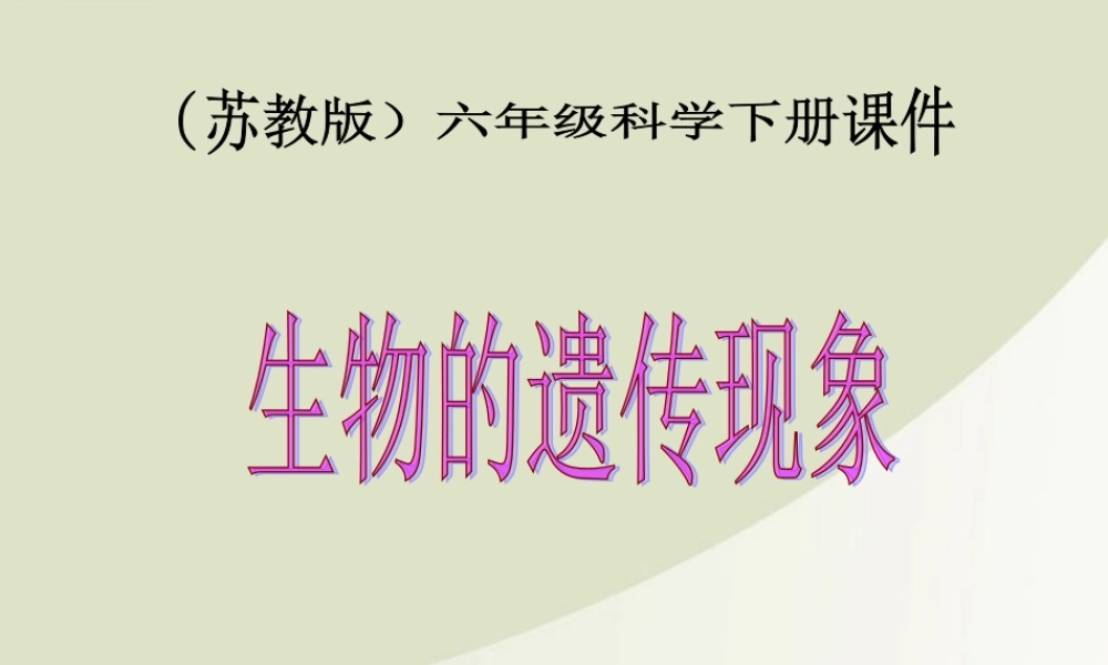 六年级科学下册 生物的遗传现象 3课件 苏教版