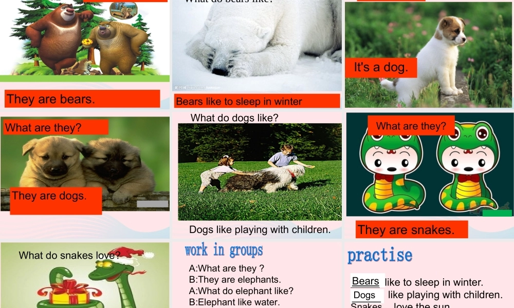 六年级英语上册 Module 7 Unit 2 pandas love bamboo课件 外研版（三起）-外研版小学六年级上册英语课件