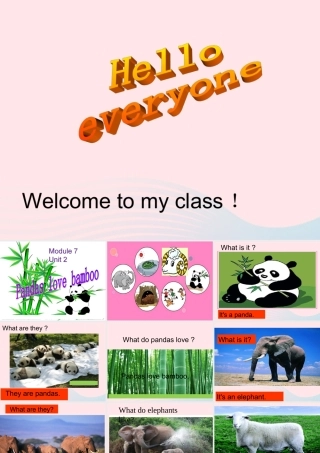 六年级英语上册 Module 7 Unit 2 pandas love bamboo课件 外研版（三起）-外研版小学六年级上册英语课件