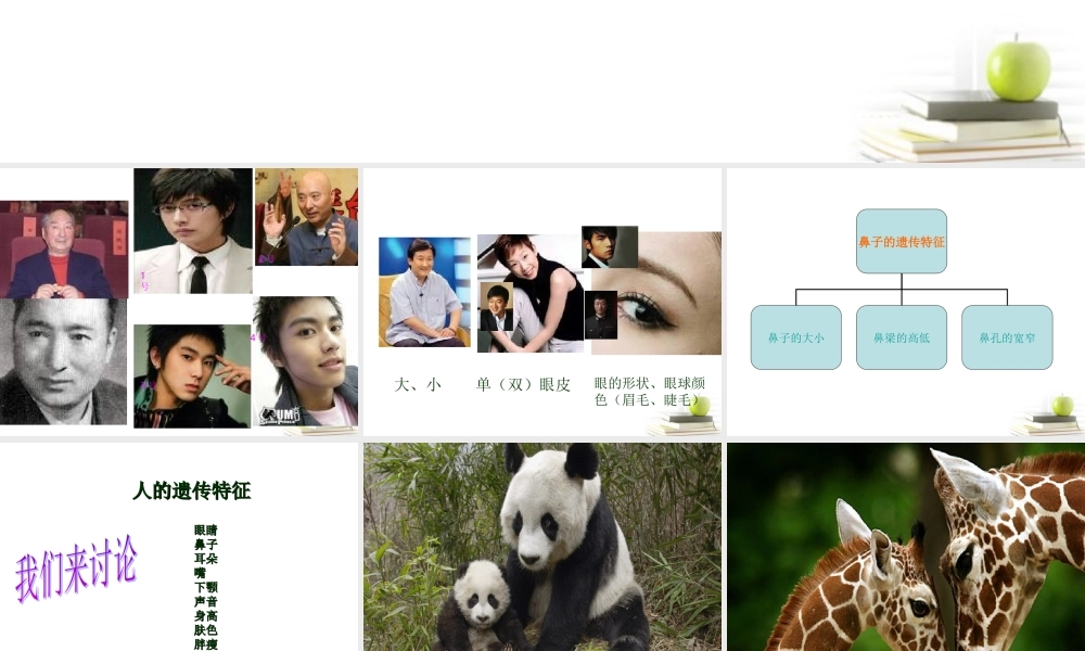 六年级科学下册 生物的遗传现象2课件 苏教版