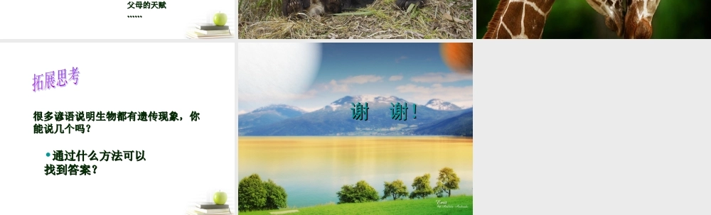 六年级科学下册 生物的遗传现象2课件 苏教版