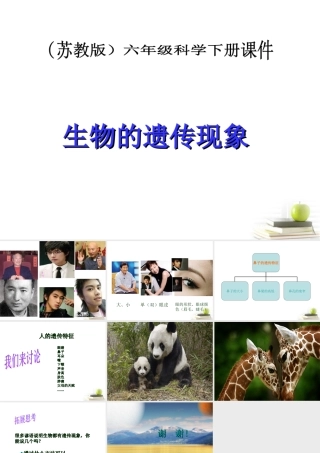 六年级科学下册 生物的遗传现象2课件 苏教版