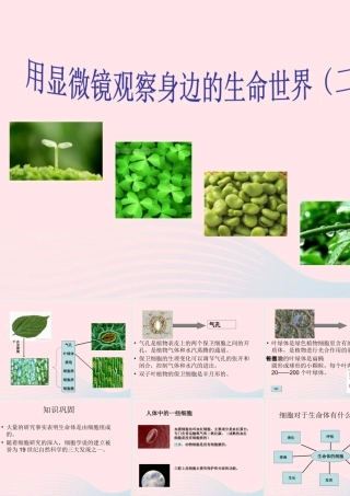 六年级科学下册 第一单元 微小世界 6 用显微镜观察身边的生命世界(二)课件1 教科版-教科版小学六年级下册自然科学课件