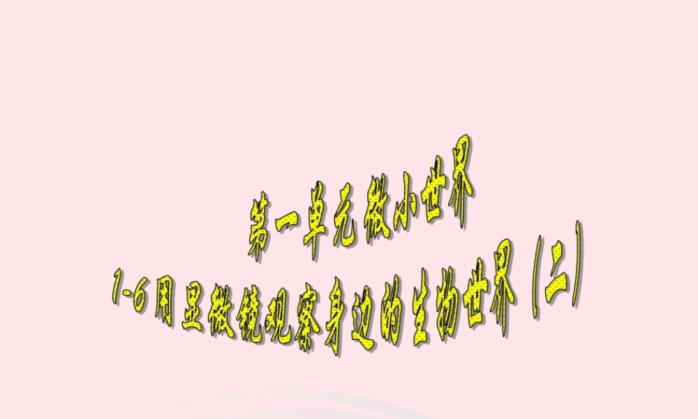 六年级科学下册 第一单元 微小世界 6 用显微镜观察身边的生命世界(二)课件2 新人教版-新人教版小学六年级下册自然科学课件