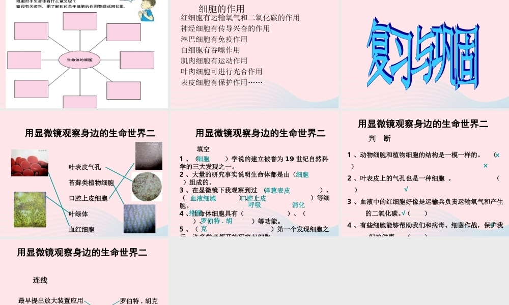 六年级科学下册 第一单元 微小世界 6 用显微镜观察身边的生命世界(二)课件2 新人教版-新人教版小学六年级下册自然科学课件