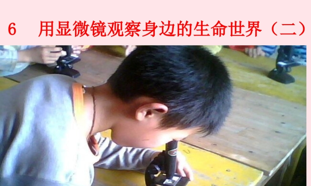 六年级科学下册 第一单元 微小世界 6《用显微镜观察身边的生命世界(二)》课件1 教科版-教科版小学六年级下册自然科学课件