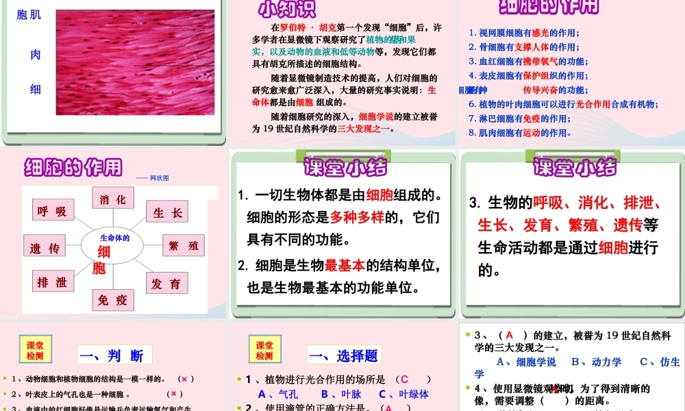 六年级科学下册 第一单元 微小世界 6《用显微镜观察身边的生命世界(二)》课件2 教科版-教科版小学六年级下册自然科学课件