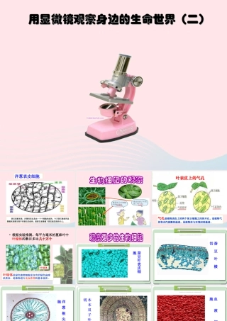六年级科学下册 第一单元 微小世界 6《用显微镜观察身边的生命世界(二)》课件2 教科版-教科版小学六年级下册自然科学课件