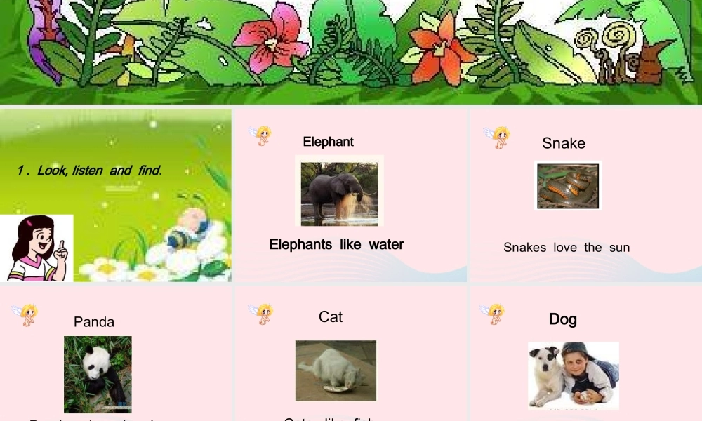 六年级英语上册 Module 7 Unit 2 pandas love bamboo课件外研版（三起）-外研版小学六年级上册英语课件