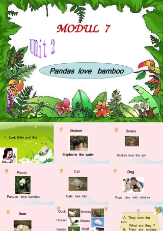 六年级英语上册 Module 7 Unit 2 pandas love bamboo课件外研版（三起）-外研版小学六年级上册英语课件