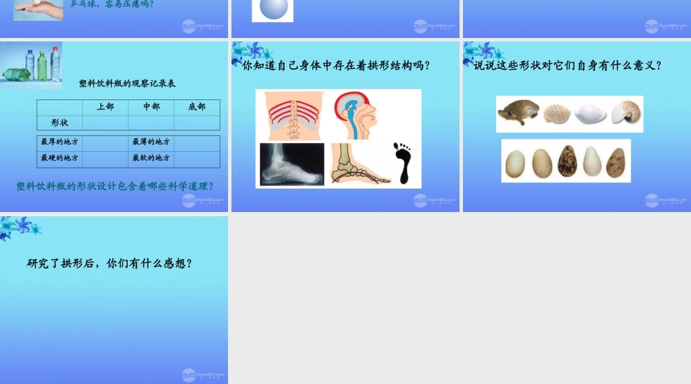六年级科学上册 找拱形课件 教科版