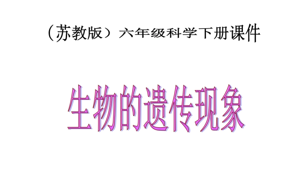六年级科学下册 生物的遗传现象3课件 苏教版