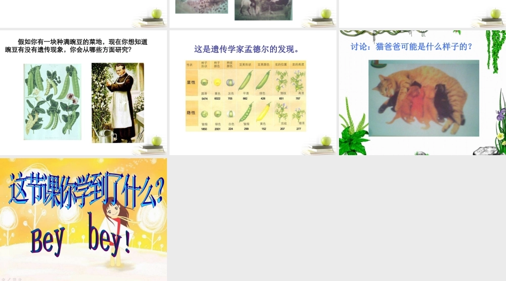 六年级科学下册 生物的遗传现象3课件 苏教版