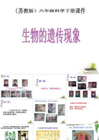 六年级科学下册 生物的遗传现象3课件 苏教版