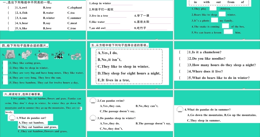 六年级英语上册 Module 7 Unit 2 Pandas love bamboo作业课件 外研版（三起）-外研版小学六年级上册英语课件