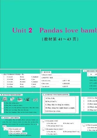 六年级英语上册 Module 7 Unit 2 Pandas love bamboo作业课件 外研版（三起）-外研版小学六年级上册英语课件