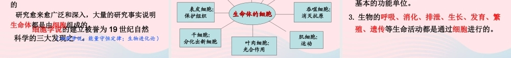 六年级科学下册 第一单元 微小世界 6用显微镜观察身边的生命世界(二)课件 教科版-教科版小学六年级下册自然科学课件