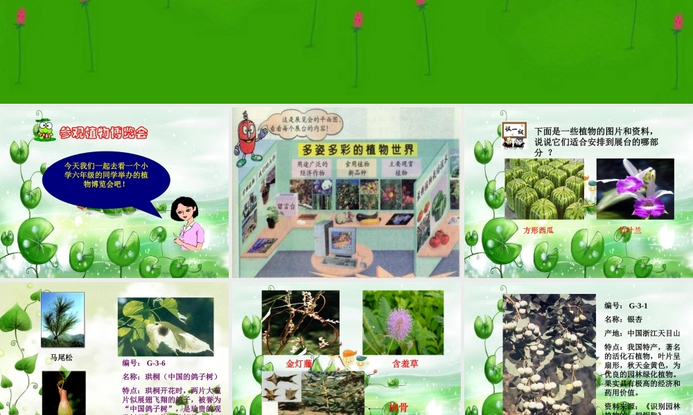 六年级科学上册 植物博览会课件 冀教版