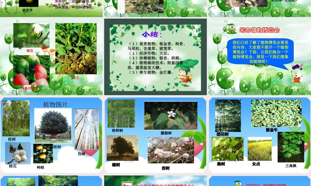 六年级科学上册 植物博览会课件 冀教版