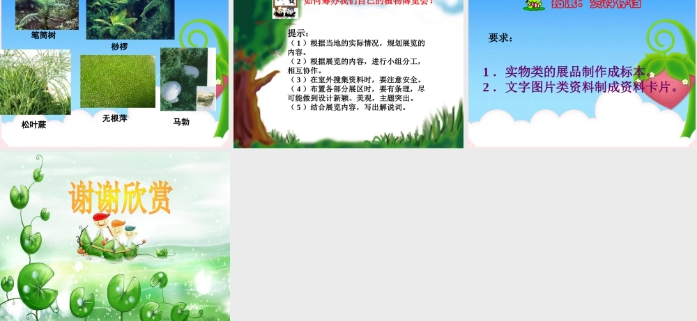 六年级科学上册 植物博览会课件 冀教版