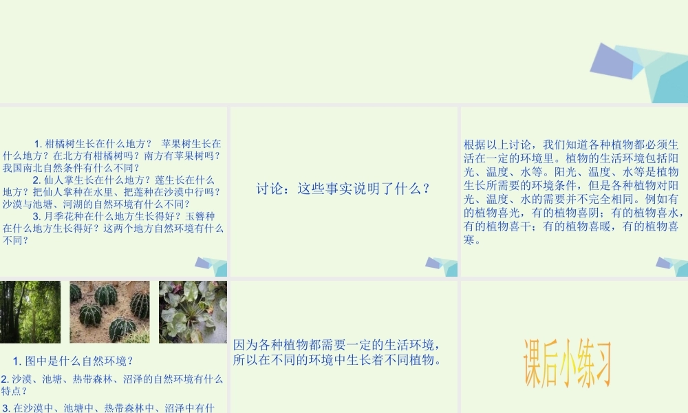 六年级科学上册 植物向哪里生长课件1 青岛版-青岛版小学六年级上册自然科学课件