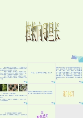 六年级科学上册 植物向哪里生长课件1 青岛版-青岛版小学六年级上册自然科学课件