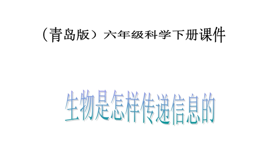 六年级科学下册 生物是怎样传递信息的1课件 青岛版