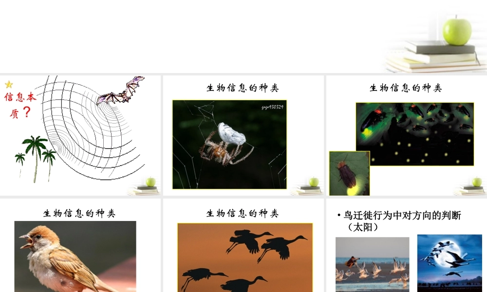 六年级科学下册 生物是怎样传递信息的1课件 青岛版