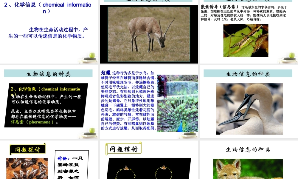 六年级科学下册 生物是怎样传递信息的1课件 青岛版