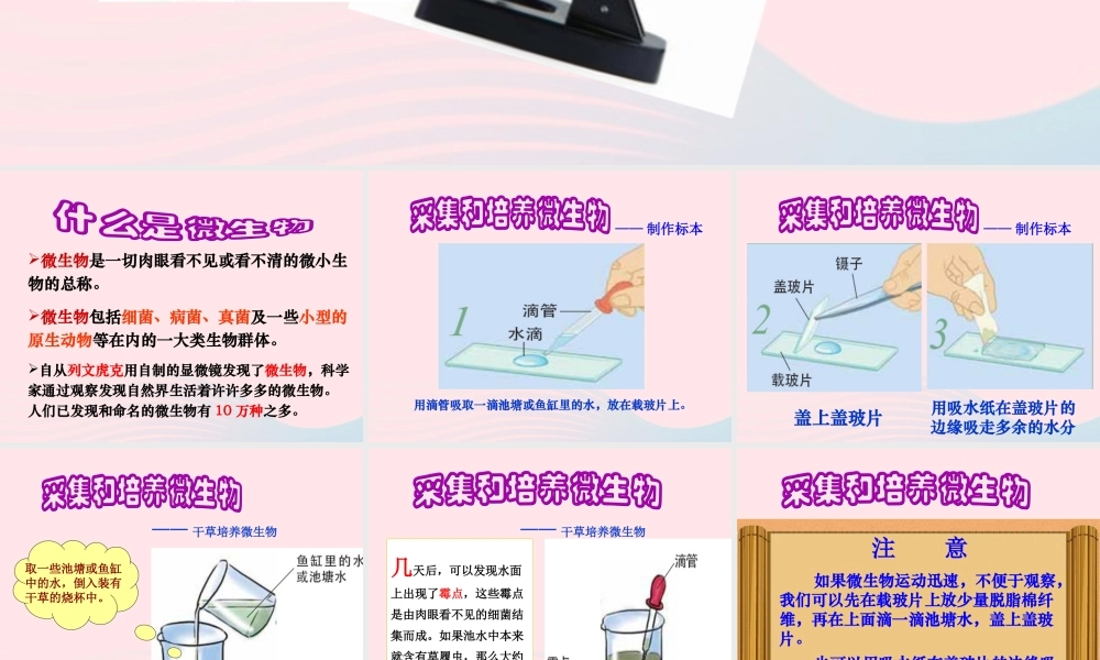 六年级科学下册 第一单元 微小世界 7 用显微镜观察身边的生命世界(三)课件 教科版-教科版小学六年级下册自然科学课件