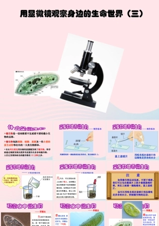 六年级科学下册 第一单元 微小世界 7 用显微镜观察身边的生命世界(三)课件 教科版-教科版小学六年级下册自然科学课件