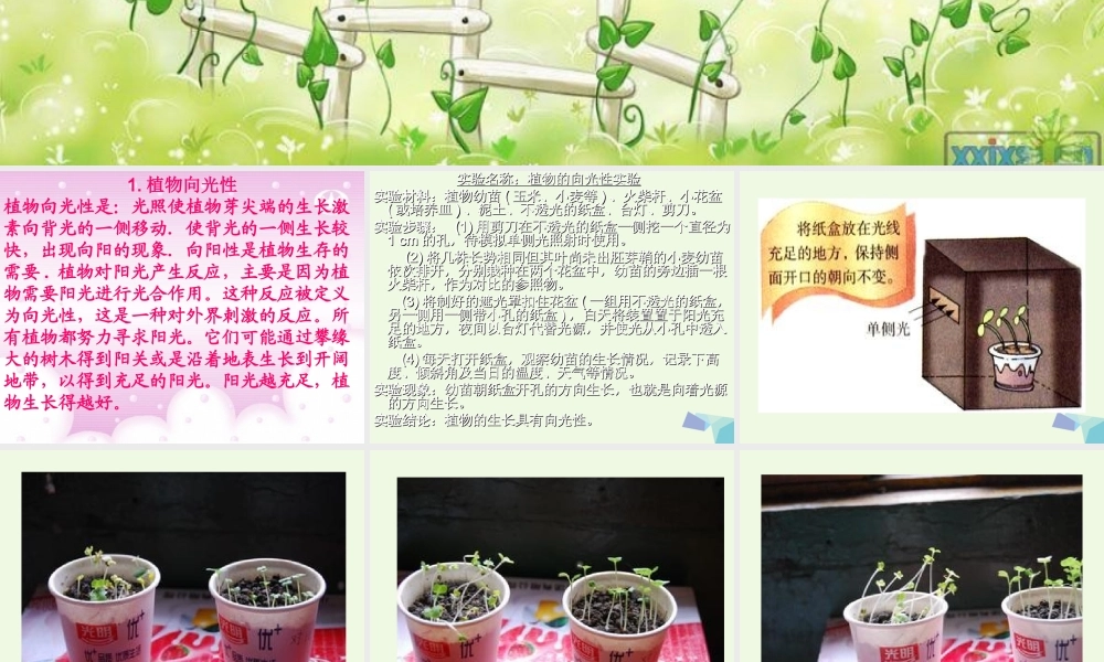六年级科学上册 植物向哪里生长课件2 青岛版-青岛版小学六年级上册自然科学课件