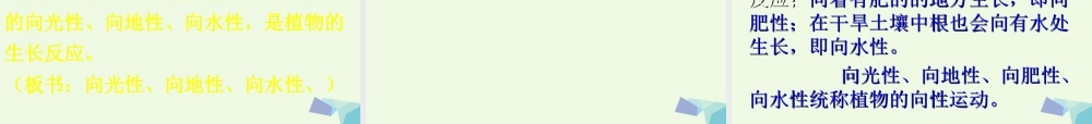 六年级科学上册 植物向哪里生长课件2 青岛版-青岛版小学六年级上册自然科学课件