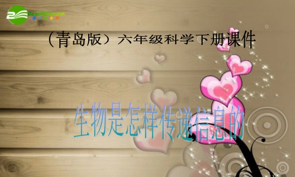 六年级科学下册 生物是怎样传递信息的课件 青岛版（三年级起点）