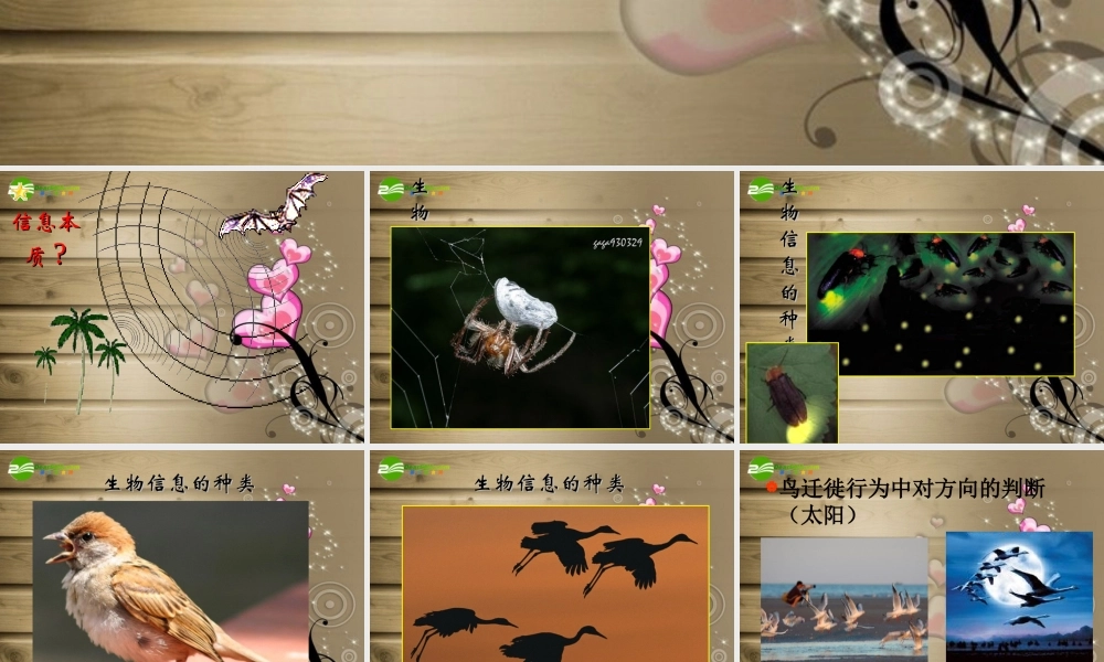 六年级科学下册 生物是怎样传递信息的课件 青岛版（三年级起点）