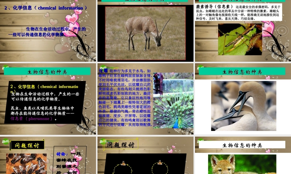 六年级科学下册 生物是怎样传递信息的课件 青岛版（三年级起点）