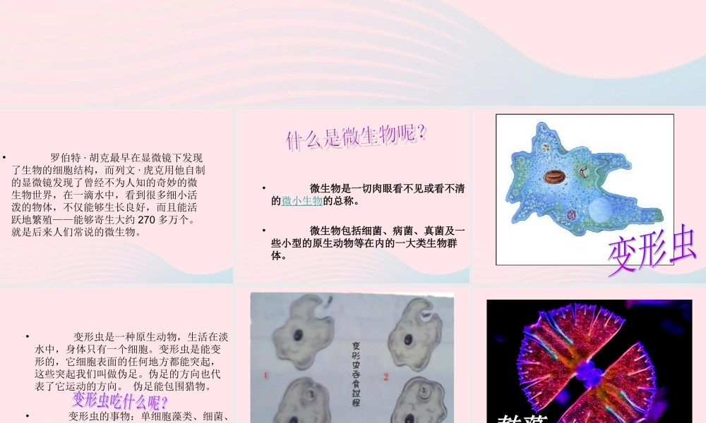 六年级科学下册 第一单元 微小世界 7 用显微镜观察身边的生命世界三课件1 教科版-教科版小学六年级下册自然科学课件