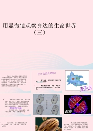 六年级科学下册 第一单元 微小世界 7 用显微镜观察身边的生命世界三课件1 教科版-教科版小学六年级下册自然科学课件