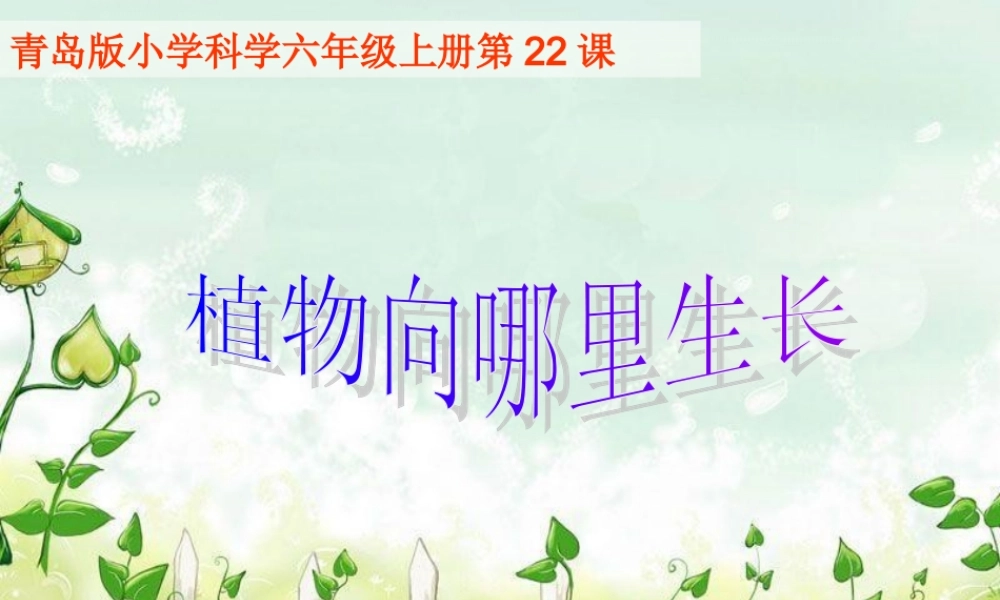 六年级科学上册 植物向哪里生长说课课件 青岛版-青岛版小学六年级上册自然科学课件